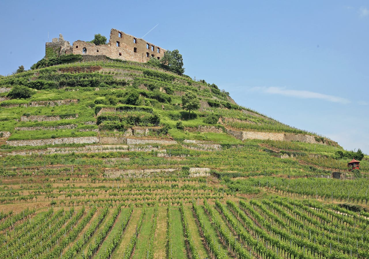 Staufen im Breisgau