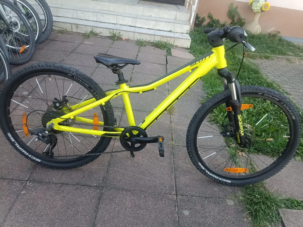 Scott – 4