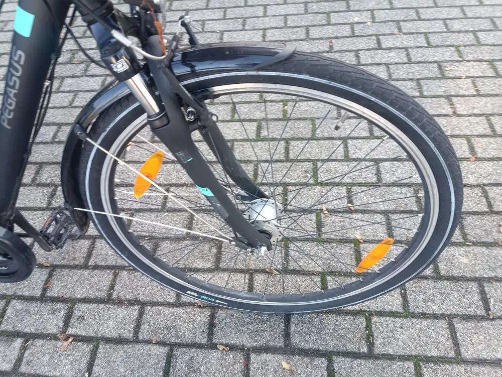 28 Zoll Pegasus Fahrrad – 4
