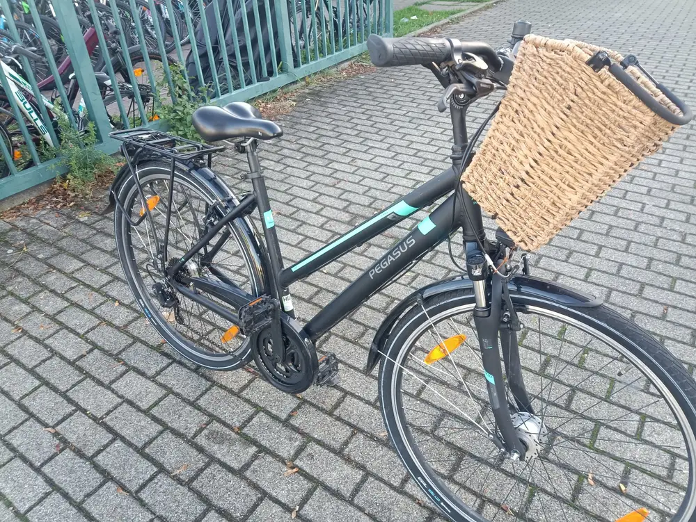 28 Zoll Pegasus Fahrrad – 6