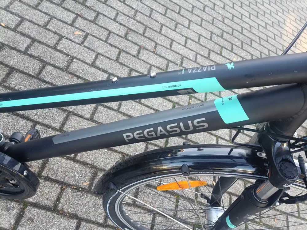 28 Zoll Pegasus Fahrrad – 7