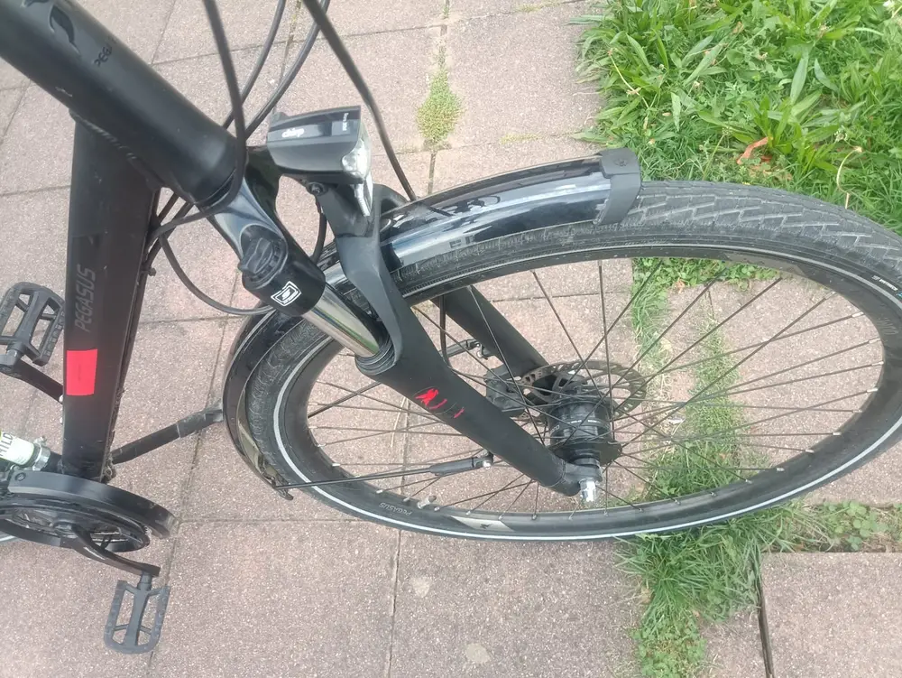A4 - 28 Zoll Pegasus Fahrrad. 24 Gänge. 60 size. Nabendynamo – 5