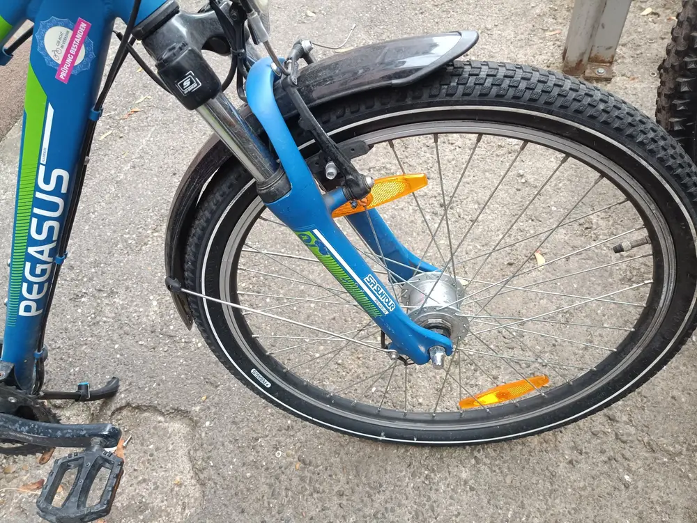 24 Zoll Pegasus fahrrad – 4