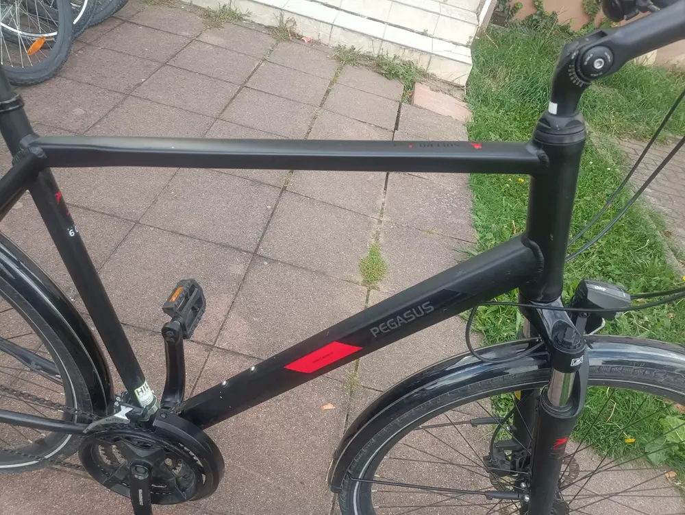 A4 - 28 Zoll Pegasus Fahrrad. 24 Gänge. 60 size. Nabendynamo – 2