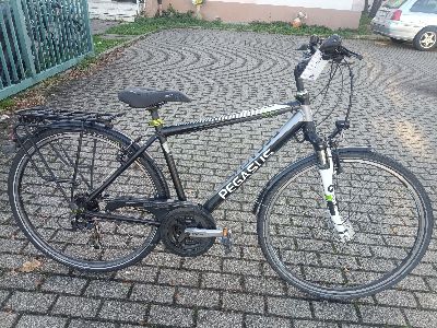 28 Zoll Pegasus fahrrad