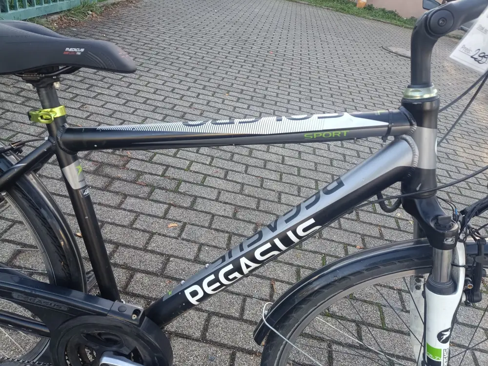 28 Zoll Pegasus fahrrad – 2