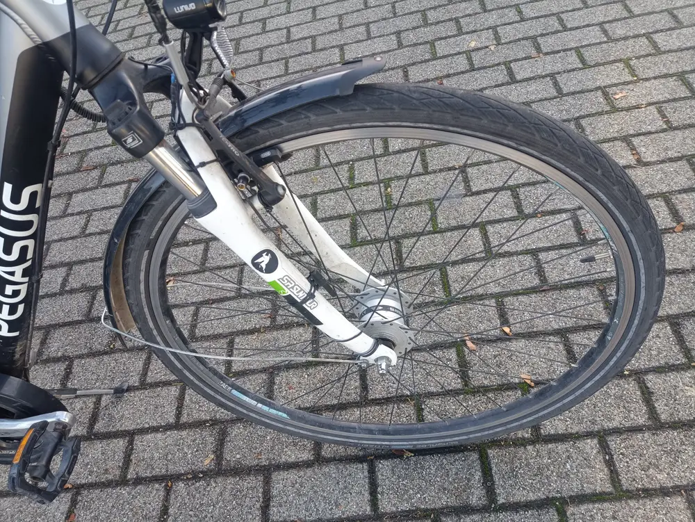 28 Zoll Pegasus fahrrad – 3