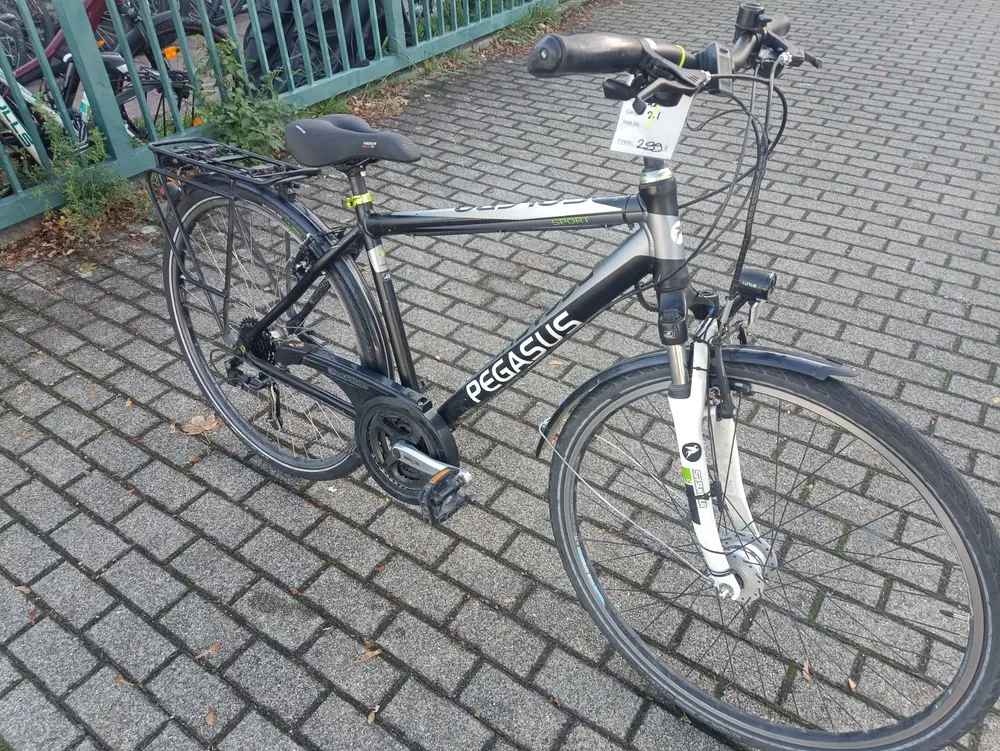 28 Zoll Pegasus fahrrad – 6