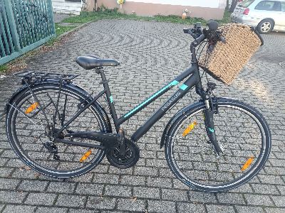 28 Zoll Pegasus Fahrrad