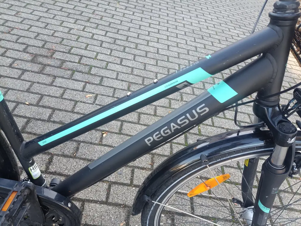 28 Zoll Pegasus Fahrrad – 2